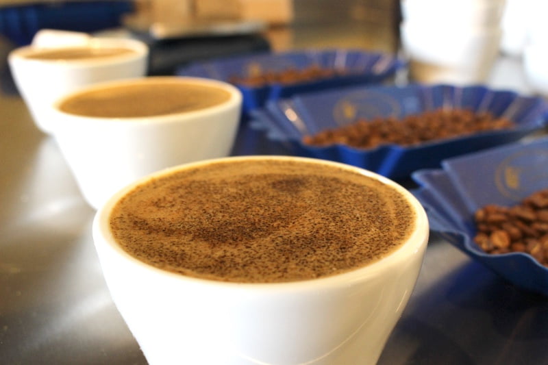 cupping-coffee-test.jpg